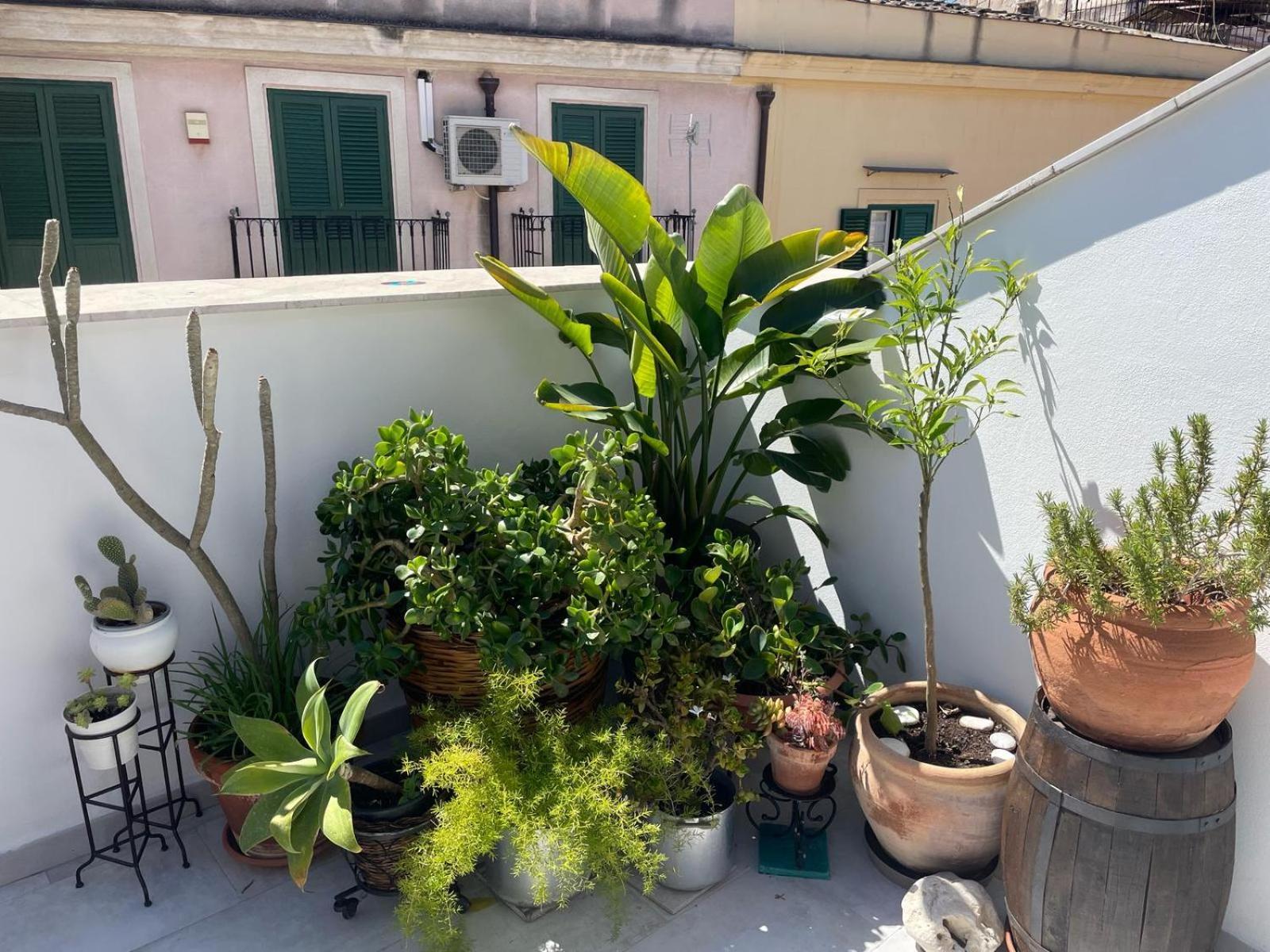פלרמו Terrazza Alla Cala מראה חיצוני תמונה